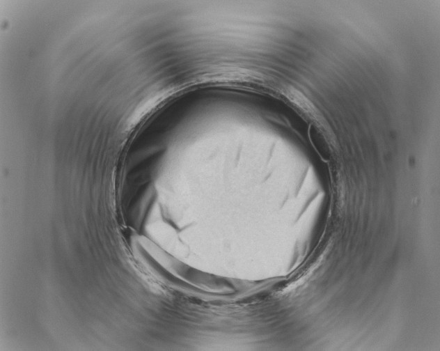 X0000088170842200706121624