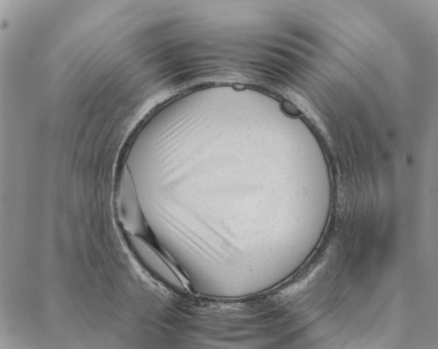 X0000088170845200706121624