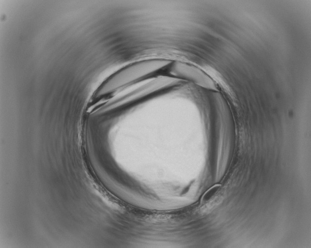 X0000088170846200706121624