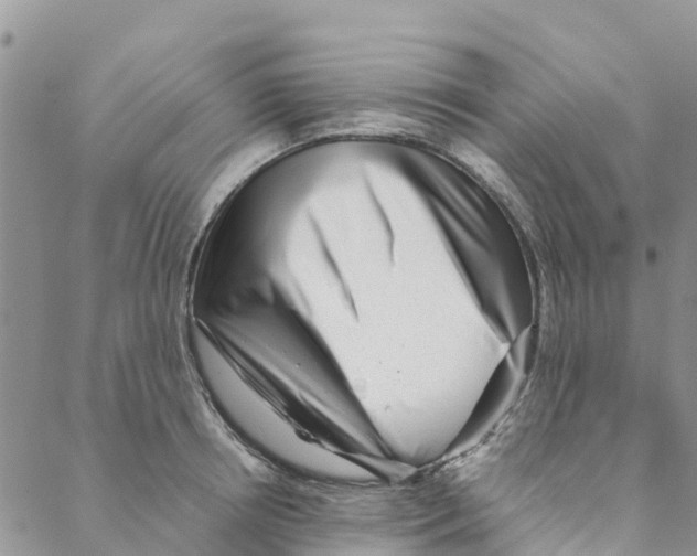 X0000088170850200706121624