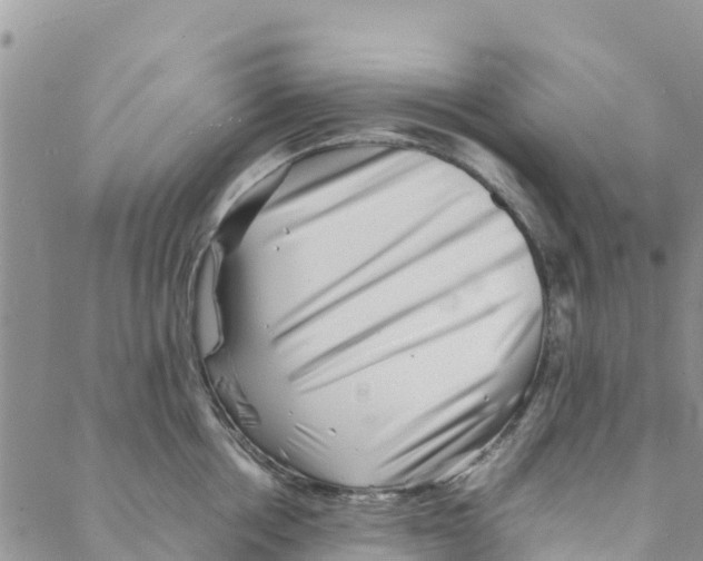 X0000088170858200706121624