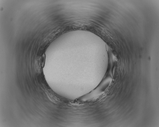 X0000088170868200706121623