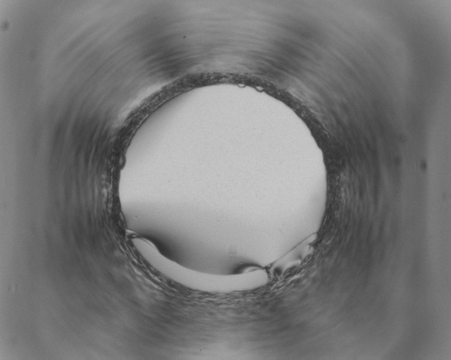 X0000088170872200706121623