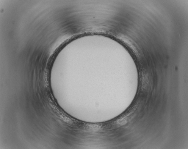 X0000088170878200706121623