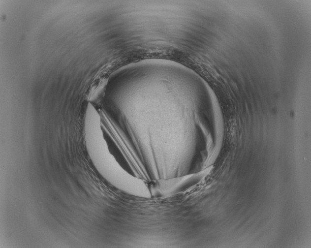 X0000088170916200706121622