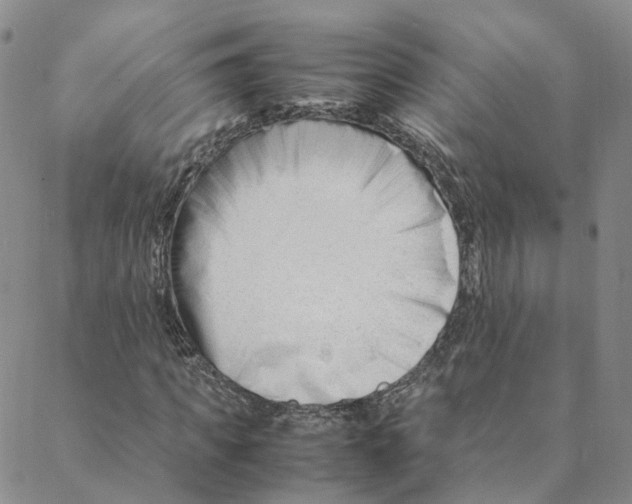 X0000088170917200706121622