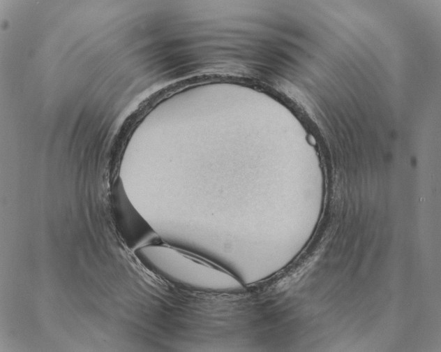 X0000088170923200706121622