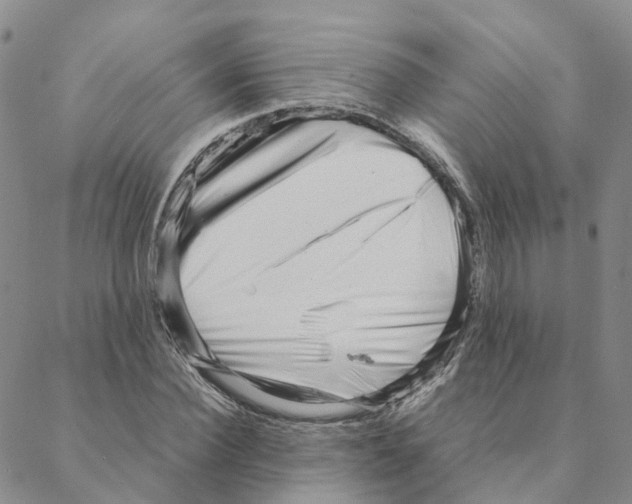 X0000088170924200706121622