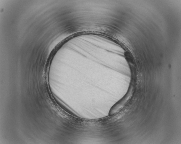X0000088170928200706121622