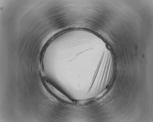 X0000088170934200706121622