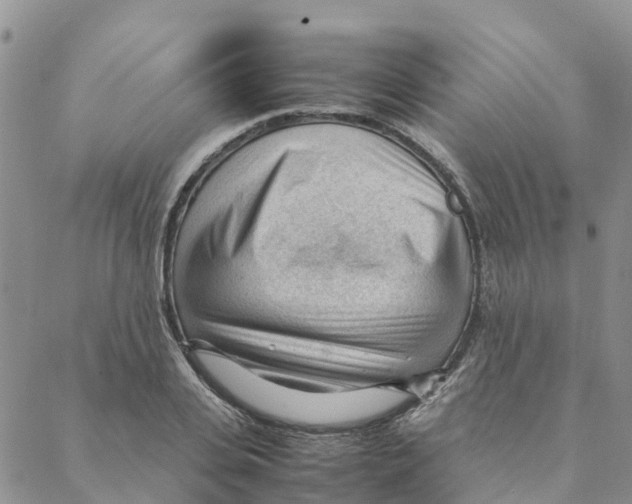 X0000088170935200706121622