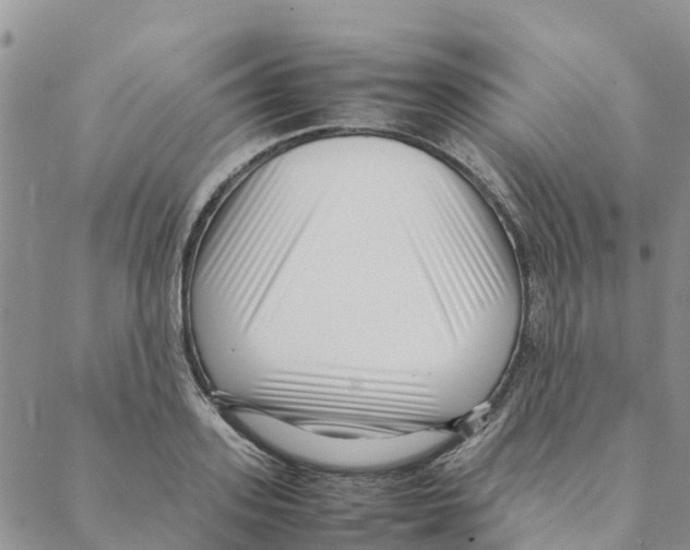 X0000088170939200706121622