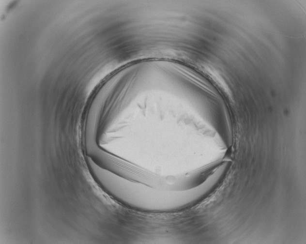 X0000088170944200706121622