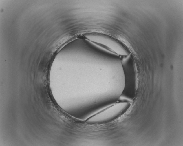 X0000088170977200706121622