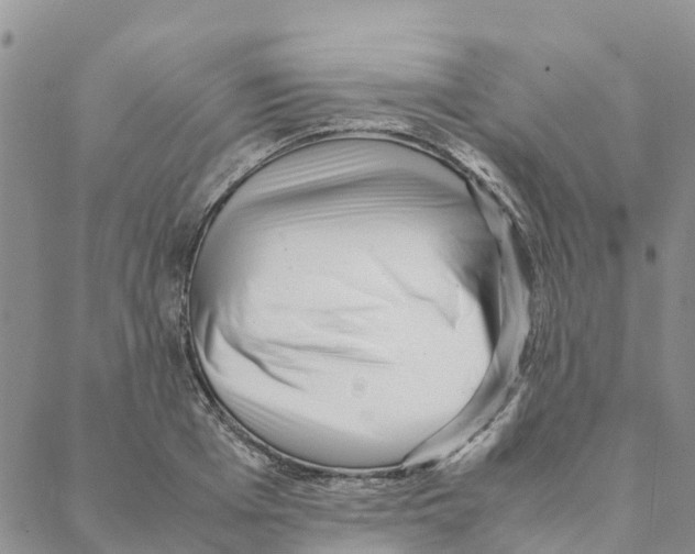 X0000088170985200706121622