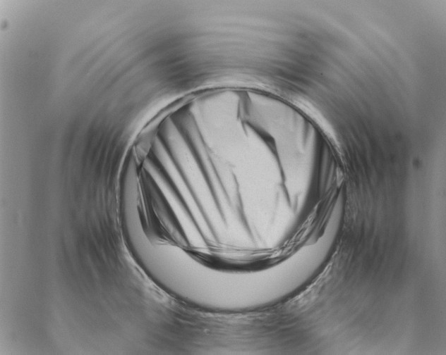 X0000088170996200706121621