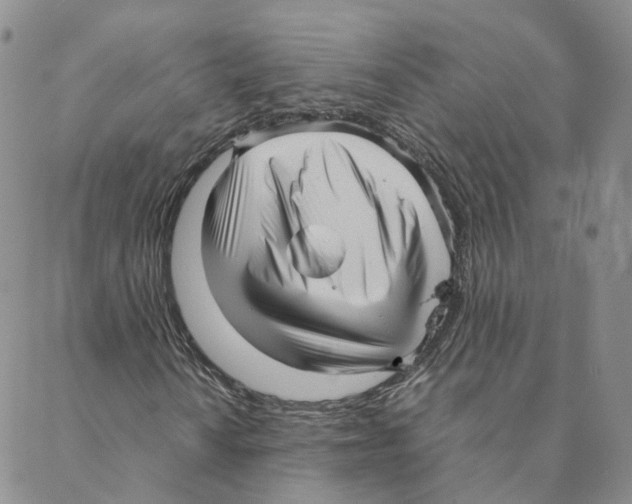 X0000088171010200706121620