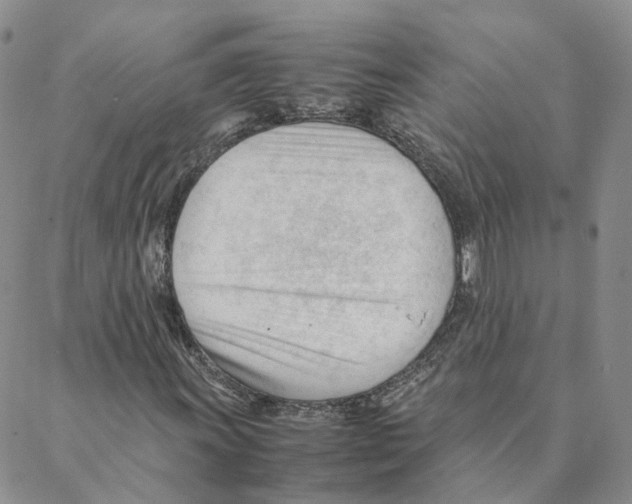 X0000088171011200706121620