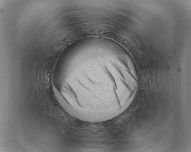 X0000088171013200706121620