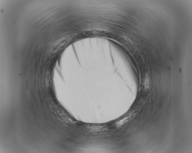 X0000088171014200706121621