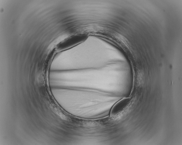 X0000088171018200706121621