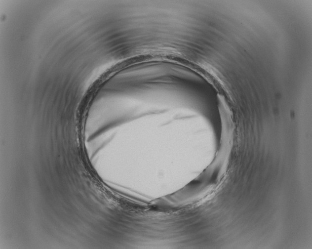X0000088171022200706121621