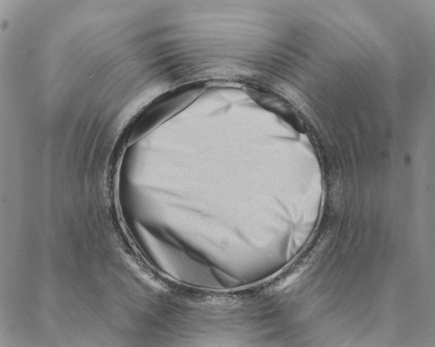 X0000088171026200706121621