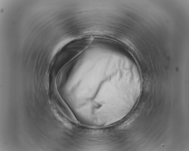 X0000088171030200706121621