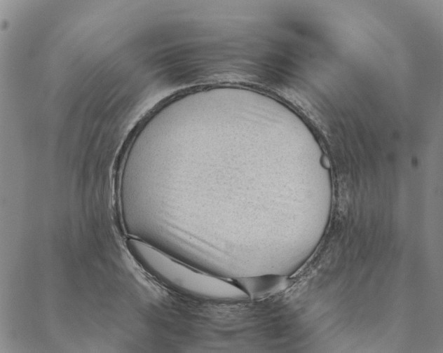 X0000088171031200706121621