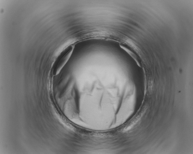 X0000088171034200706121621