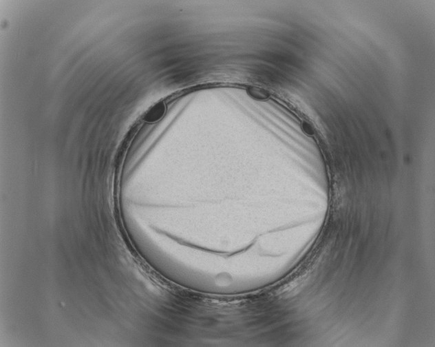 X0000088171035200706121621