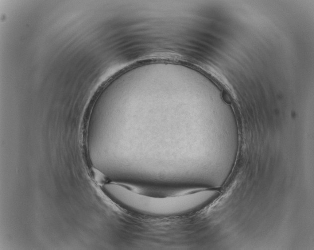 X0000088171037200706121621