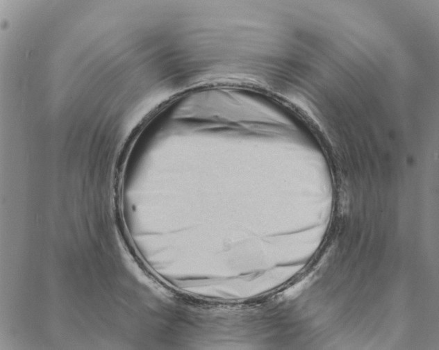 X0000088171038200706121621