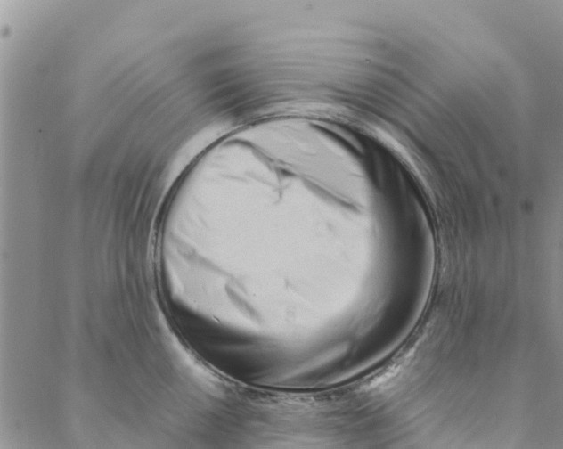 X0000088171050200706121621