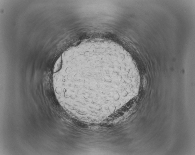 X0000088171059200706121620