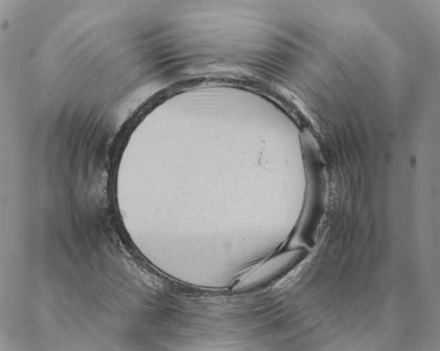 X0000088171066200706121620