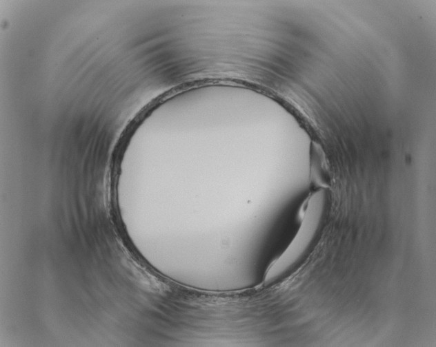 X0000088171076200706121620