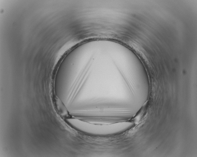 X0000088171085200706121620