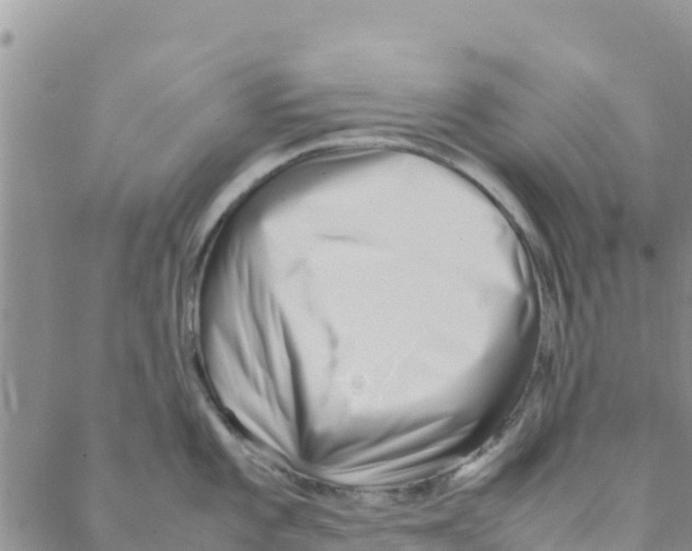 X0000088171101200706121620
