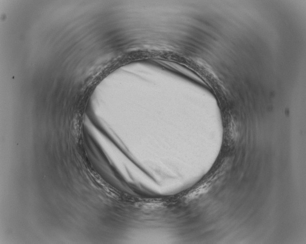 X0000088171110200706121619