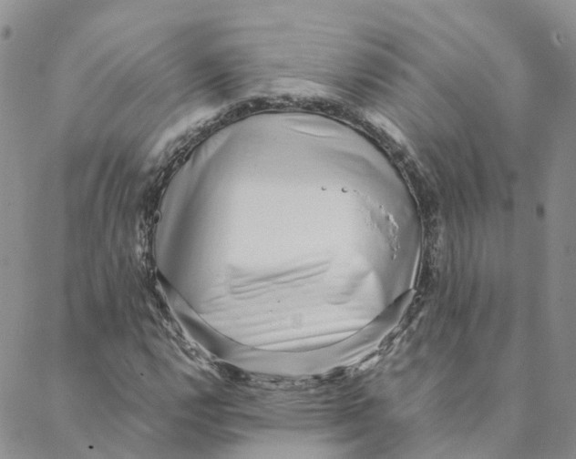 X0000088171112200706121619