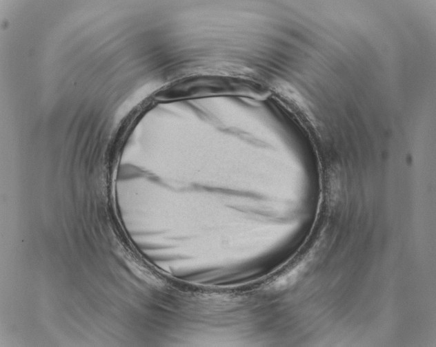 X0000088171114200706121619