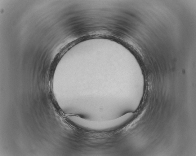 X0000088171117200706121619