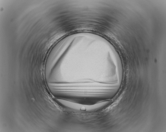 X0000088171121200706121619