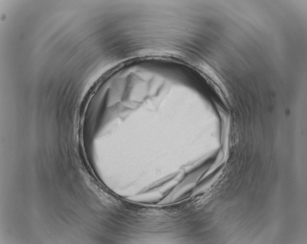 X0000088171124200706121619