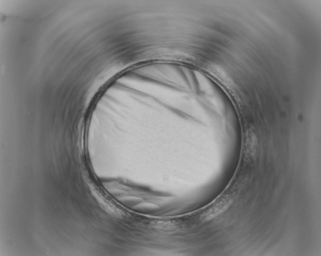 X0000088171128200706121619