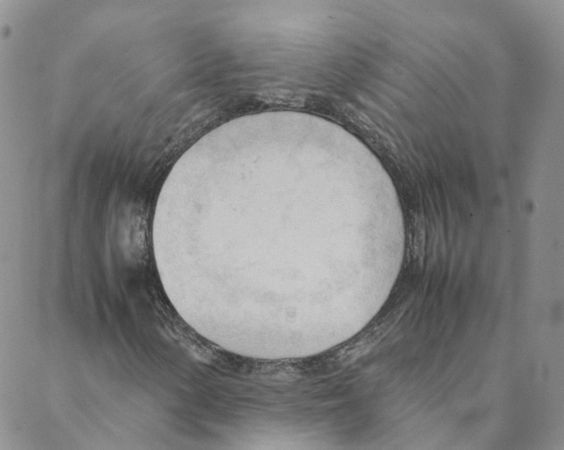 X0000088171154200706121619