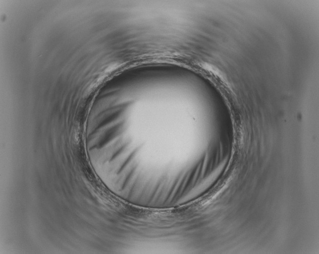 X0000088171161200706121619