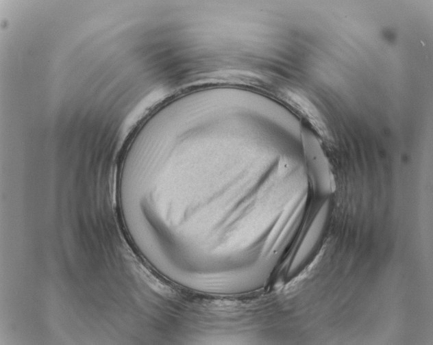X0000088171180200706121618