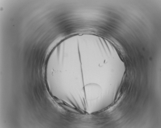 X0000088171196200706121618
